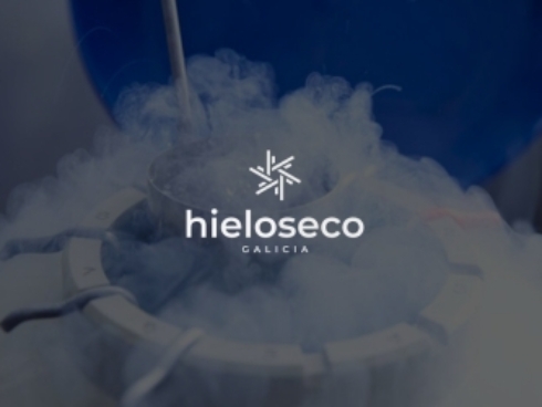 Proyecto de diseño web para Hielo Seco Galicia