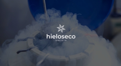 Proyecto de diseño web para Hielo Seco Galicia