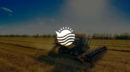 Proyecto de diseño web para Impulsa Rural