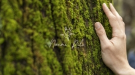 Proyecto de diseño web para Noemi Rilo