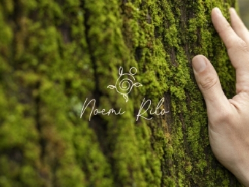 Proyecto de diseño web para Noemi Rilo