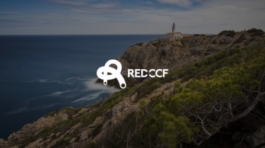 Proyecto de diseño web para Red CCF