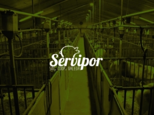 Proyecto de diseño web para Servipor