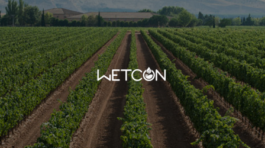 Proyecto de diseño web para Wetcon