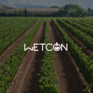 Proyecto de diseño web para Wetcon