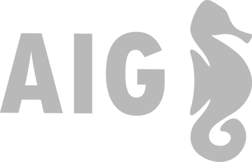 logo AIG